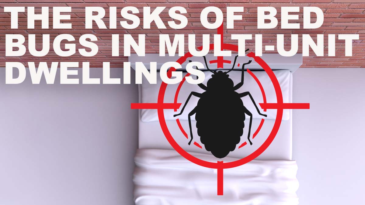 The Risks of Bed Bugs in MultiUnit Dwellings 